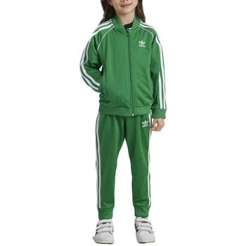 Adidas Trainingspak  -