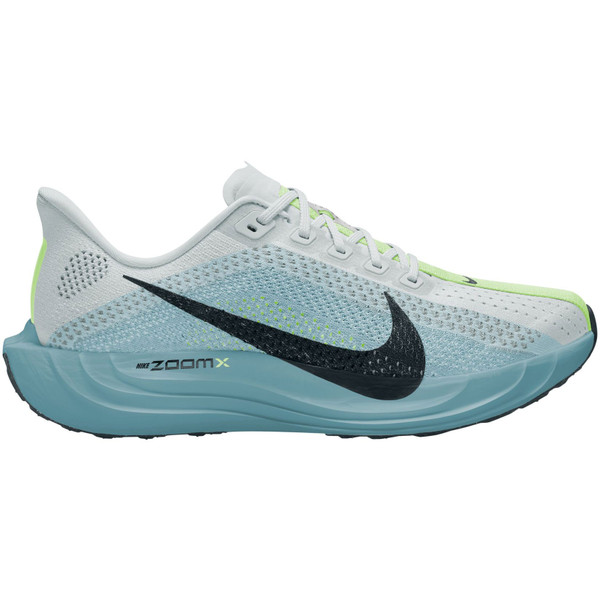 Nike Pegasus Plus Heren
