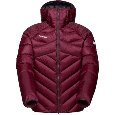 Mammut Heren Taiss In Hoodie Jas