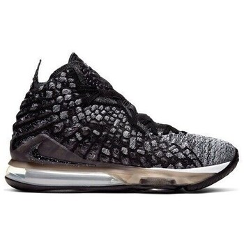Nike Basketbalschoenen  Lebron Xvii