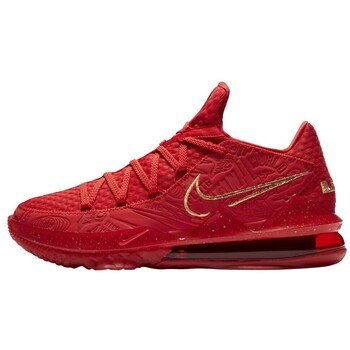 Nike Basketbalschoenen  Lebron Xvii Low PH