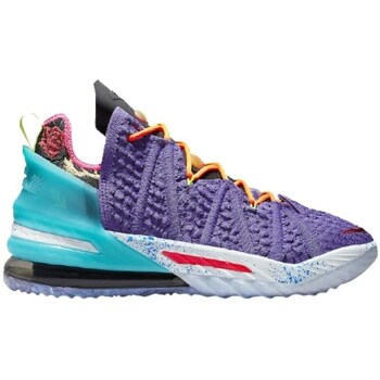 Nike Basketbalschoenen  Lebron Xviii