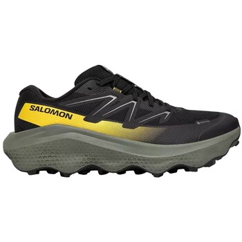 Salomon Wandelschoenen  Ultra Flow 2 Gtx