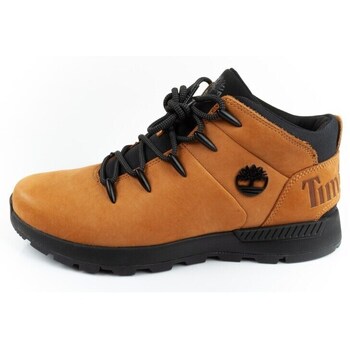 Timberland Wandelschoenen  TB0A2FEP231
