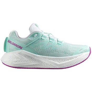 Salomon Hardloopschoenen  Aero Glide 3