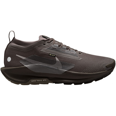 Nike Heren Pegasus Trail 5 GTX Schoenen