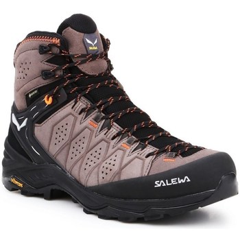Salewa Wandelschoenen  MS Alp Trainer 2 Mid Gtx