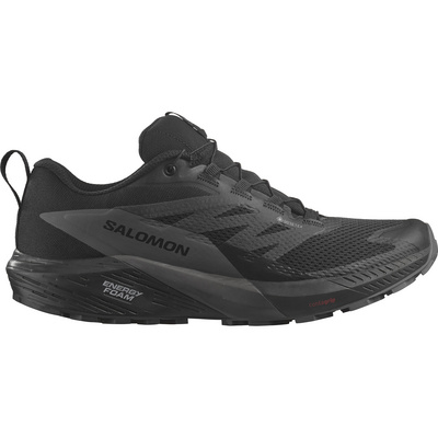 Salomon Heren Sense Ride 5 GTX Schoenen