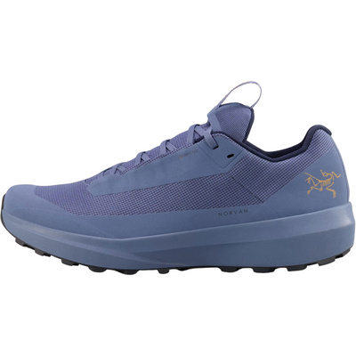 Arcteryx Heren Norvan Ld 4 GTX Schoenen