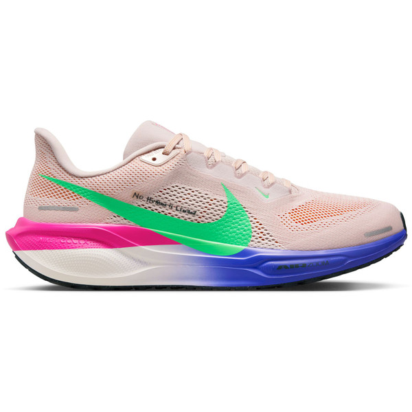 Nike Pegasus 41 EK Heren