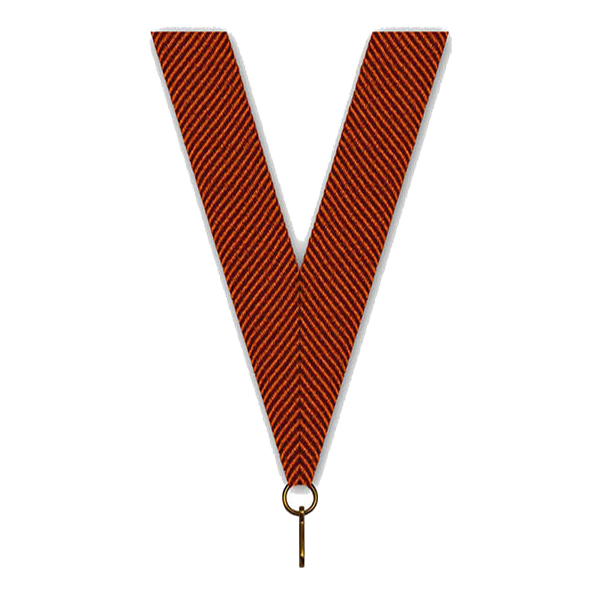 Sportprijzen Leiden Halslint - Bruin