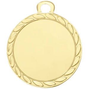 Sportprijzen Leiden Medaille DI3206