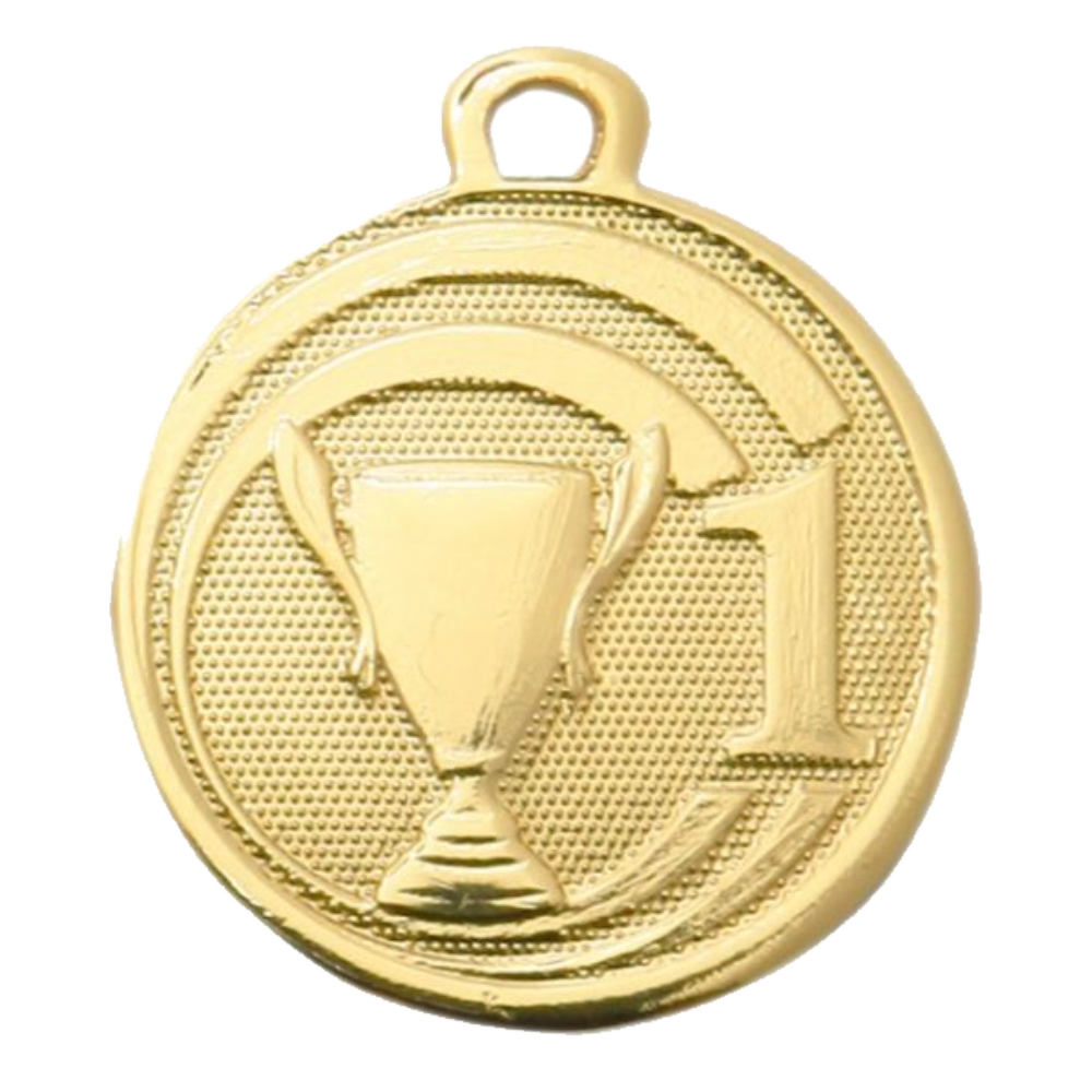 Sportprijzen Leiden Sport Medaille