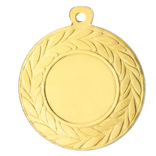 Sportprijzen Leiden Medaille D10