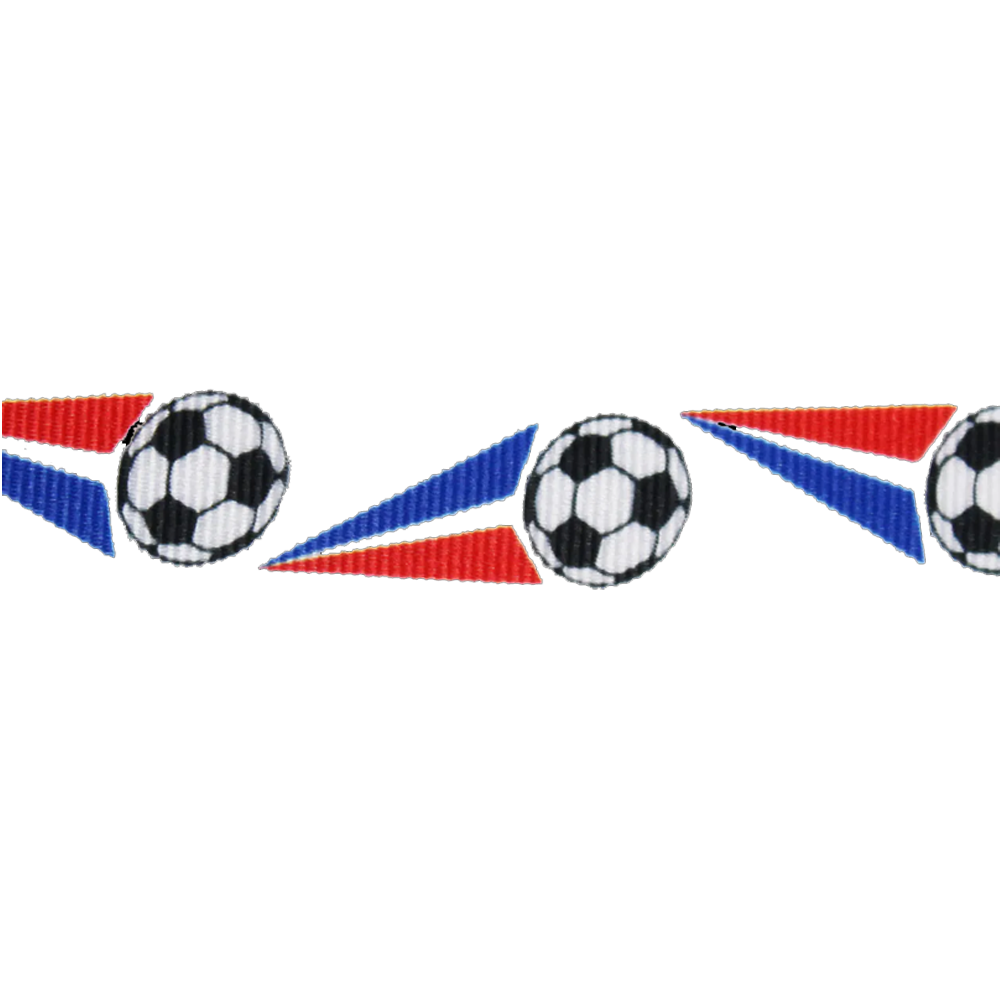 Sportprijzen Leiden Halslint - Voetbal