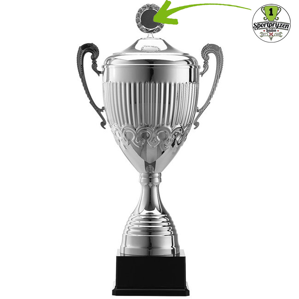 Sportprijzen Leiden Eigen ontwerp Afslag
