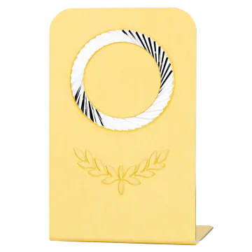 Sportprijzen Leiden Sportprijs D115