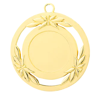 Sportprijzen Leiden Medaille D79A