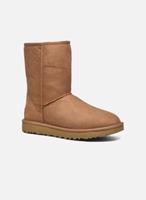 Laarzen UGG CLASSIC SHORT II