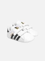 Sneakers SUPERSTAR CRIB by 