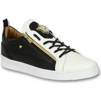 Cash Money Lage Sneakers  Bee Black White Gold