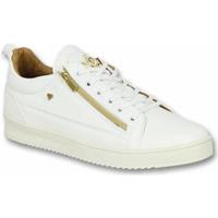 Cash Money Lage Sneakers  Bee White Gold