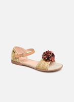 Pepe jeans  Sandalen PGS90122 ELSA