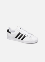 Adidas Originals Sneaker Coast Star