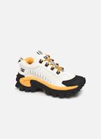 CATSneakersIntruder902CATERPILLAR–40(25