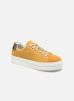 Bullboxer Sneaker 987033E5C_, Yellow