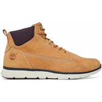 Sneakers Timberland 100663