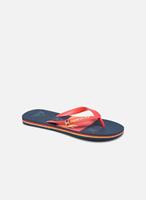 Quiksilver Slippers MOLOKAI WORDBLOCK VOLLEY by 