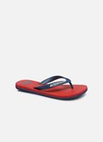 Quiksilver Slippers Molokai Youth by 