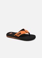 Quiksilver Slippers Monkey Abyss Youth by 
