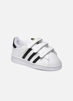 Adidas Sneakers Superstar CF I by 