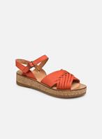 Sandalen El Naturalista -