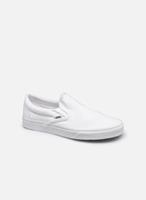 Vans  Herrenschuhe CLASSIC SLIP ON