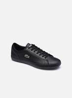 Lacoste Sneaker LEROND 0120 1 CMA
