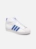 Adidas Pro Model J FV4981 Ftwwht/Royblu/Gold.F