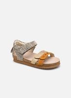 Shoesme Sandalen Bio Sandal BI21S076 by 