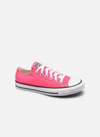 allstar Converse Color Chuck Taylor All Star Low Top Pink