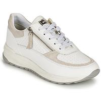 Geox  Sneaker D AIRELL A