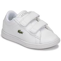 Lacoste  Kinderschuhe CARNABY EVO BL 21 1 SUI