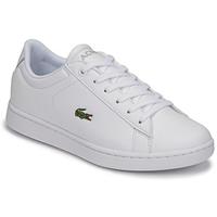 Lacoste Carnaby Evo Bl 21 1 Suj 7-41SUJ000321G Wht/Wht