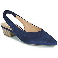 Gabor  Sandalen 8153016
