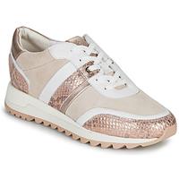 Geox Lage Sneakers  D TABELYA A