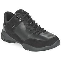 Geox Lage Sneakers  SFINGE A