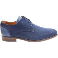 van Lier 2219616 blauw