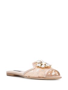 Dolce & Gabbana Bianca slippers - Beige