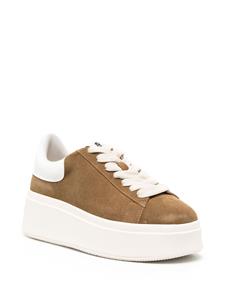 Ash Moby Be Kind low-top sneakers - Bruin